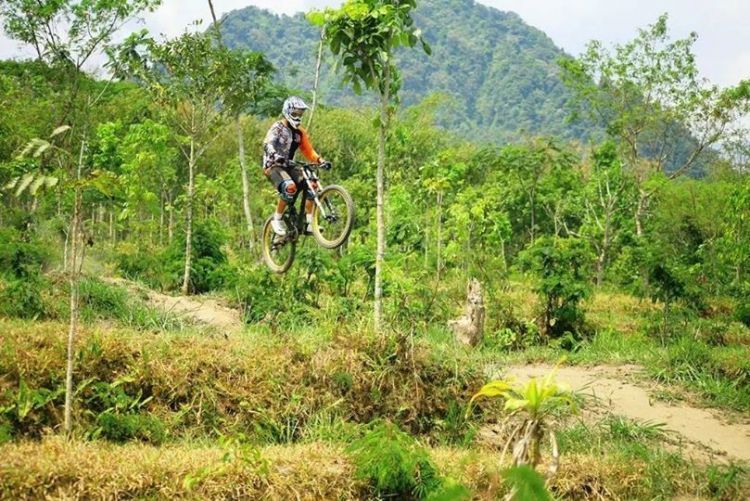 turgo bike park