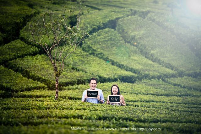 Foto prewedding di kebun teh lembang