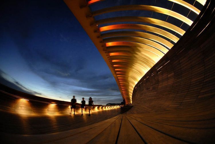 Jembatan Henderson Waves