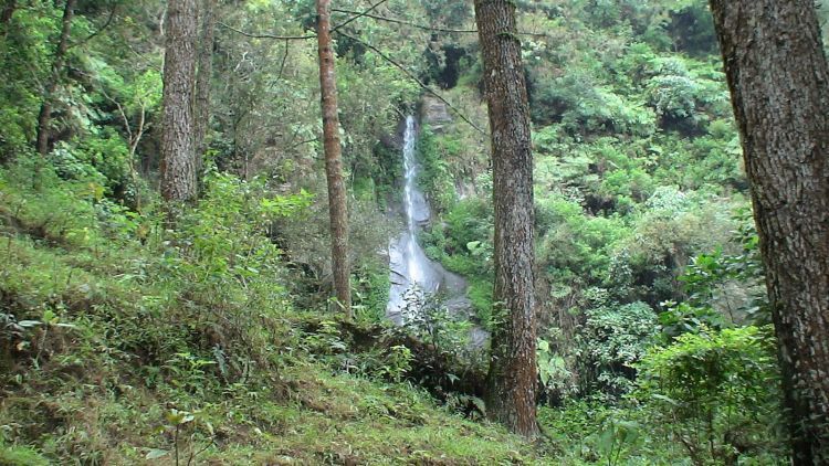 Sejuknya air terjun Umbul Songo