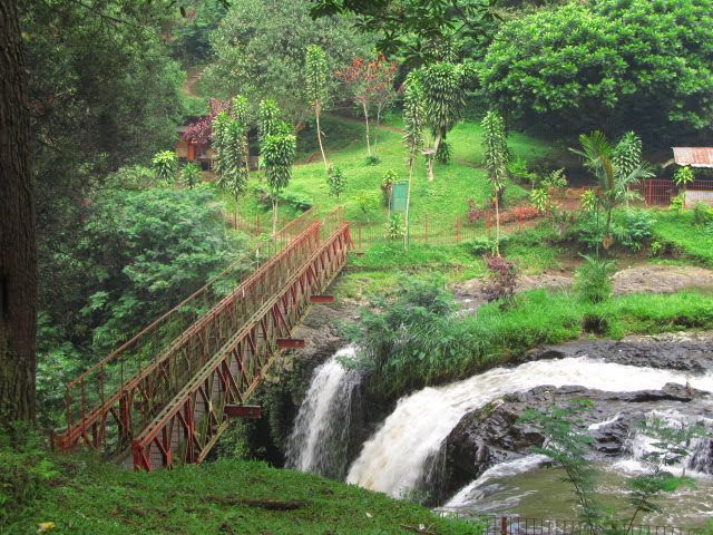 Jembatan merah Hutan Djuanda