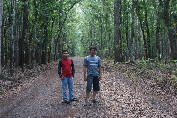 Rimbunnya pepohonan dan jalan lebar dengan serakan daun kering. 