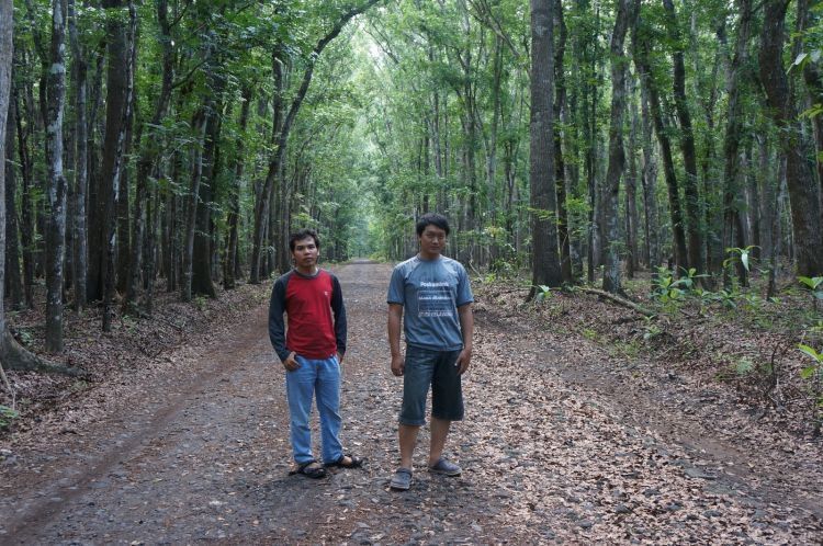 Dari Jogja Sampai Surabaya, Kota-Kota Ini Punya Hutan Indah Untuk Destinasi Jalan-Jalanmu Pekan Ini!