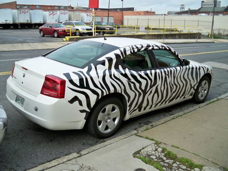 Mobil zebra