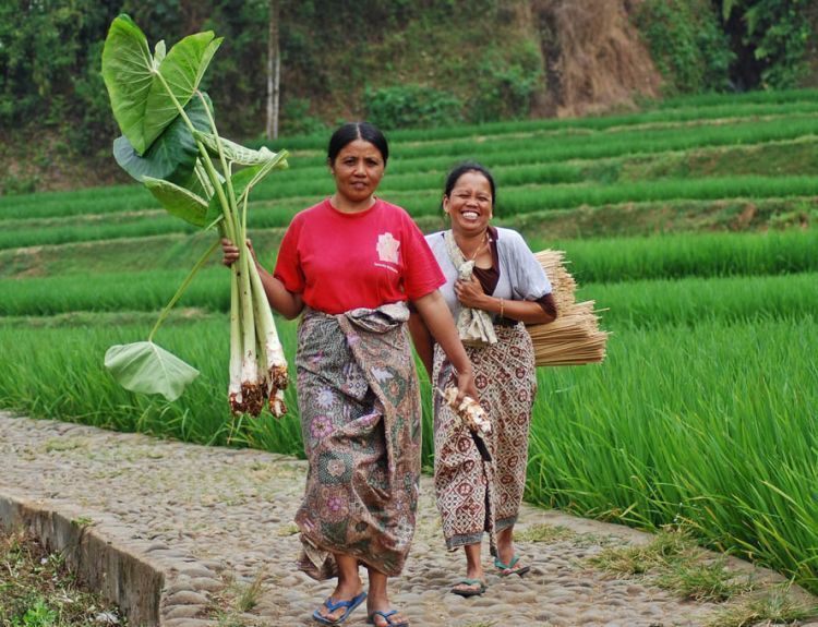 Interaksi dengan penduduk lokal