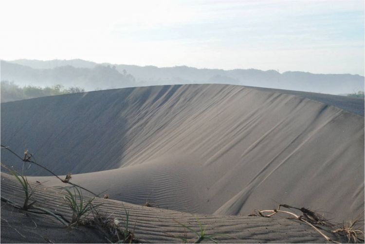 Gumuk pasir ini kerap kali dijadikan lokasi pemotretan. Bahkan arena sand boarding.