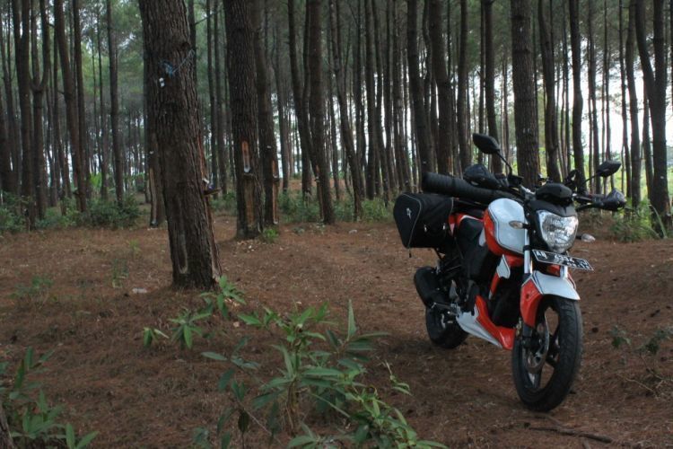 Motor touring kesayanganmu bisa dijadikan obyek foto traveling di Hutan Pinus Imogiri.