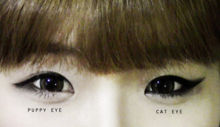 puppy eye vs cat eye