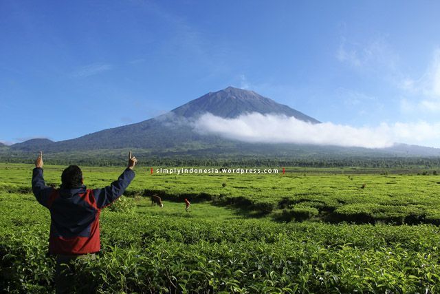 Simply Indonesia