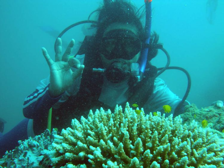 snorkeling di Teluk Kilauan