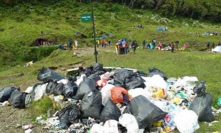 Gunung sampah di Alun-alun Surya Kencana, Gunung Gede