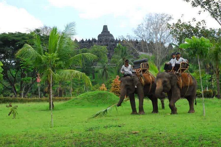 Naik gajah sambil berkeliling candi dan desa?