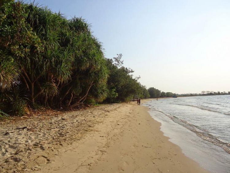 Pantai Pailus, Jepara, Jawa Tengah