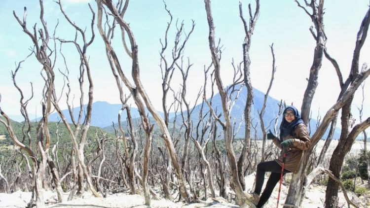 Untuk Bapak & Ibu yang Selama Ini Melarangku Mendaki: Izinkanlah Aku Naik Gunung, Sekali Ini