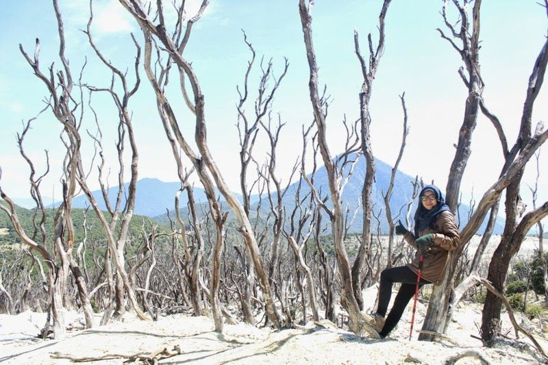 Untuk Bapak & Ibu yang Selama Ini Melarangku Mendaki: Izinkanlah Aku Naik Gunung, Sekali Ini