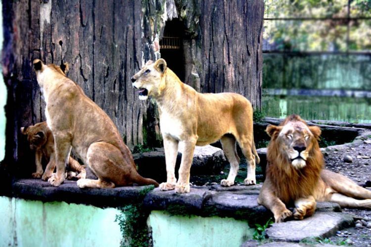 Taman Rekreasi Margasatwa Serulingmuas