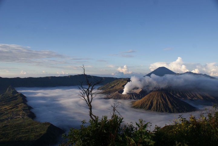 Wisata alam Gunung Bromo juga terletak di Malang.