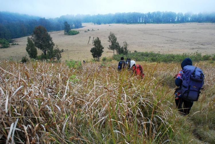 Menuju Cikasur, Gunung Argopuro