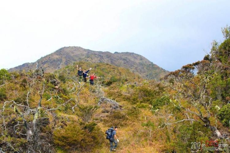 Tracking di kawasan Taman Nasional Gunung Leuser