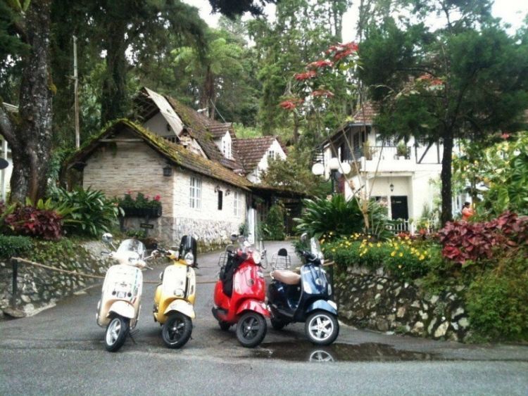 cameron highlands