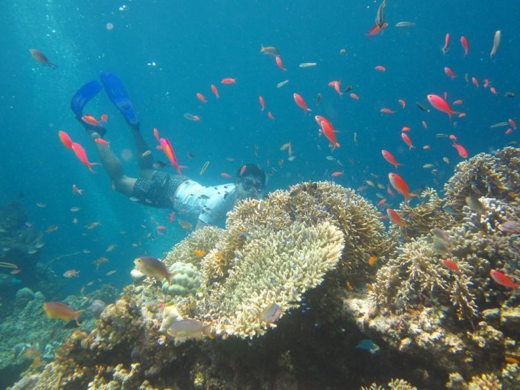 it's time for snorkeling