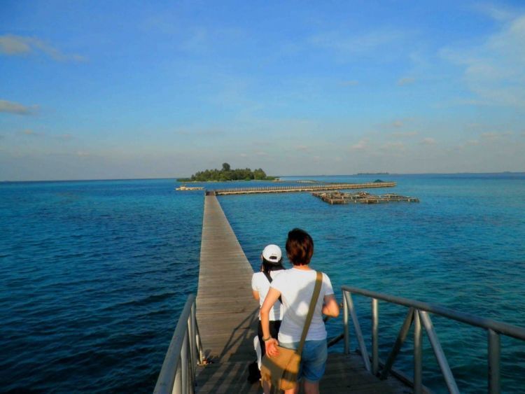 Jembatan cinta pulau Tidung