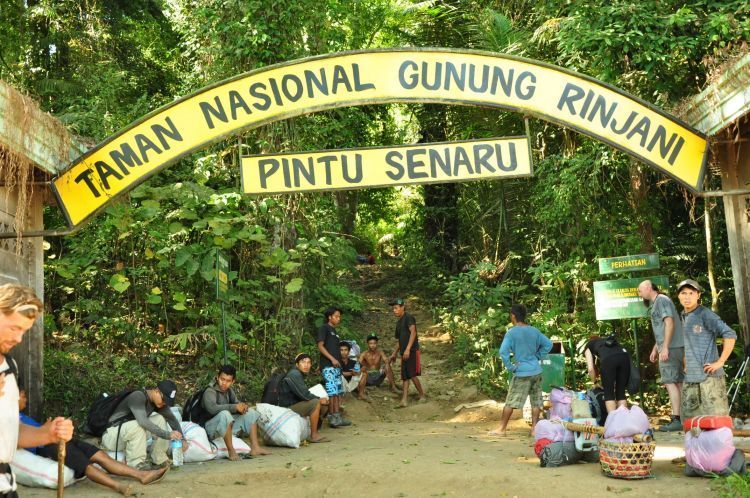 mendaki di Rinjani