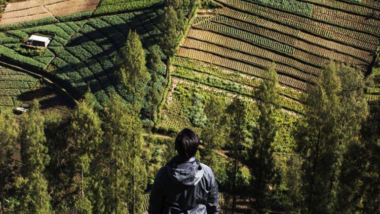 Tempat Instagrammable di Malang dan Sekitarnya yang Membuatmu Semakin Jatuh Cinta Dengan Kota Apel Ini