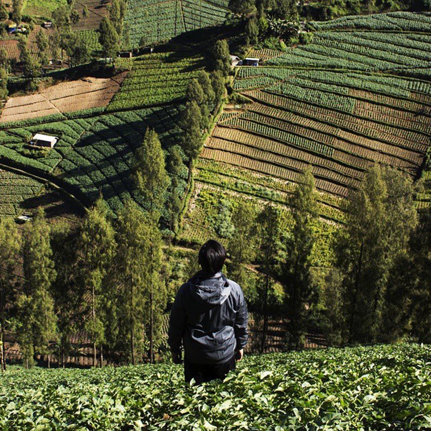 Tempat Instagrammable di Malang dan Sekitarnya yang Membuatmu Semakin Jatuh Cinta Dengan Kota Apel Ini