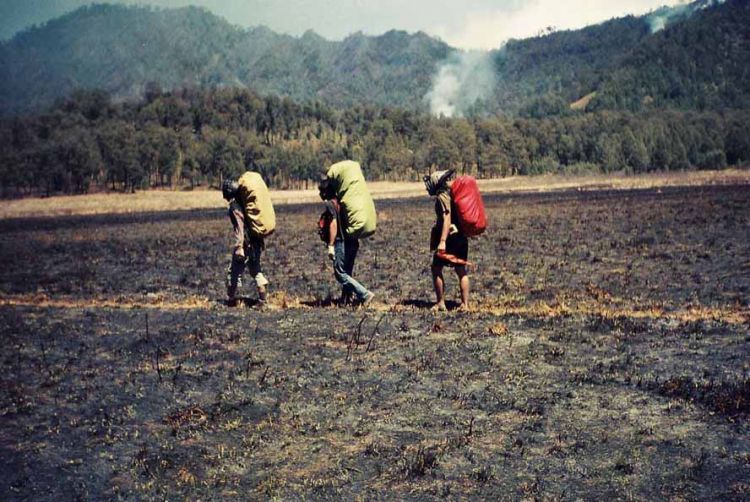 Pulang adalah tujuan utama