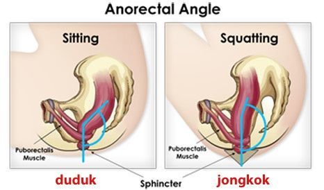 Lebih optimal dengan jongkok