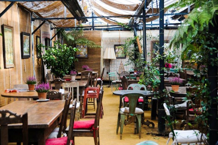 green house cafe