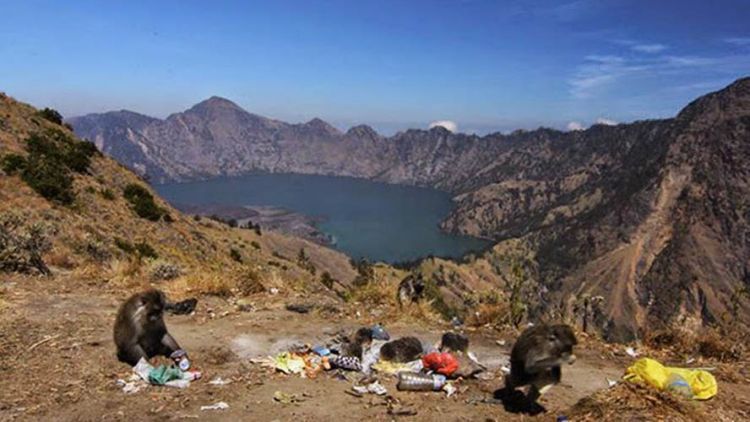 Sampah di Gunung Rinjani: Apakah Kita Akan Kehilangan 