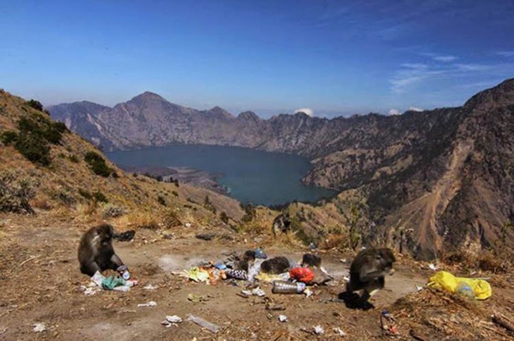 Sampah di gunung bikin hati sedih