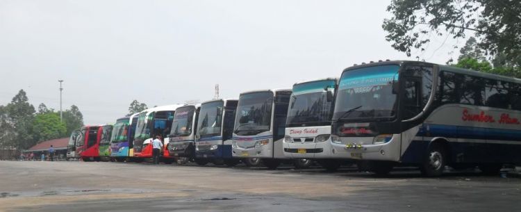 Bisa jadi, tiap pergi kamu menggunakan jasa bus yang berbeda