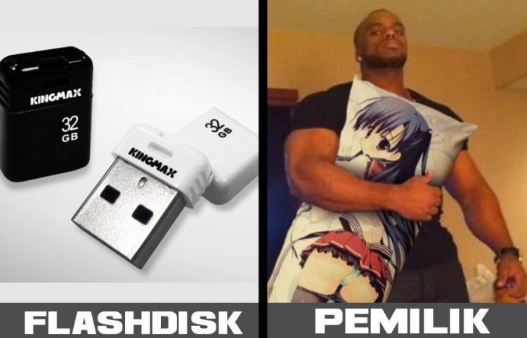 Flashdisk hanya kamuflase, via dokumentasi pribadi