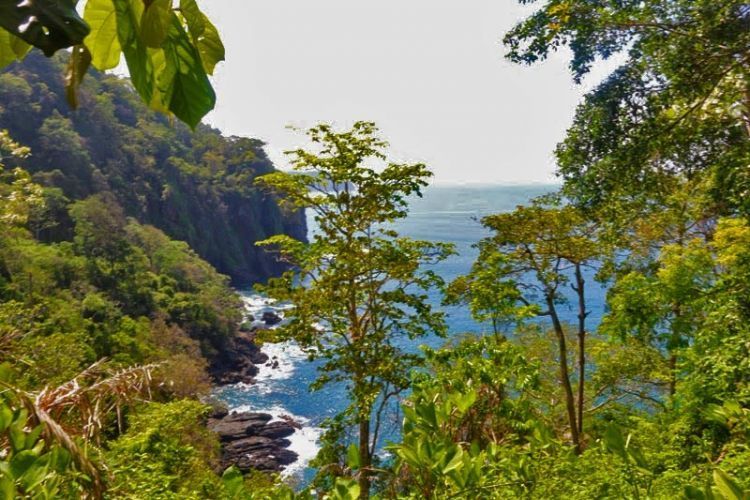 Panorama Teluk Damai dari atas bukit