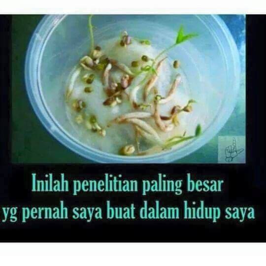 Hebat ya!