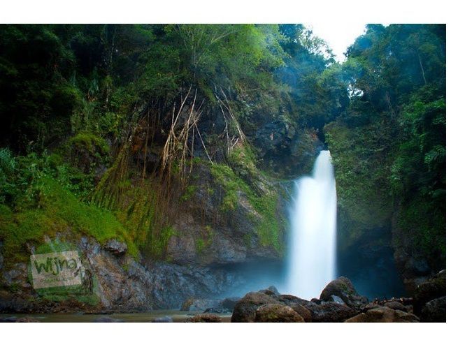 Tren Mendaki: 7 Curug yang Jadi Surga Tersembunyi di Purworejo Ini, Juga Layak Kamu Jelajahi!