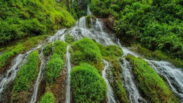 Tren Mendaki: 7 Curug yang Jadi Surga Tersembunyi di Purworejo Ini, Juga Layak Kamu Jelajahi!