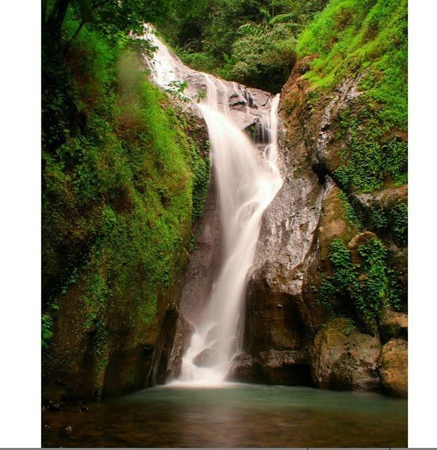 Tren Mendaki: 7 Curug yang Jadi Surga Tersembunyi di Purworejo Ini, Juga Layak Kamu Jelajahi!