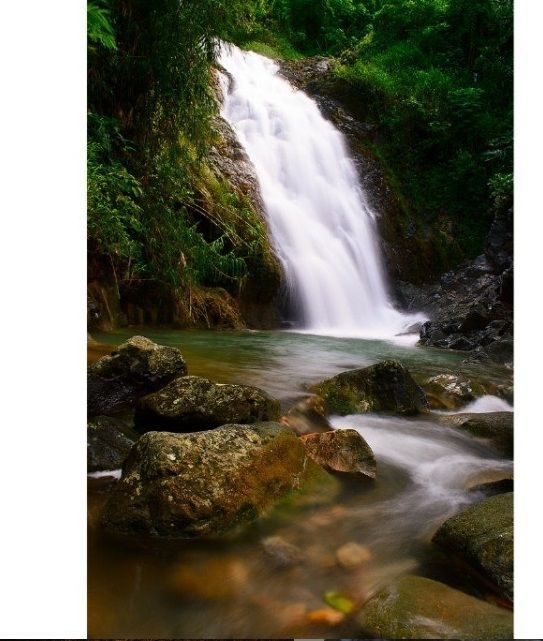 Tren Mendaki: 7 Curug yang Jadi Surga Tersembunyi di Purworejo Ini, Juga Layak Kamu Jelajahi!