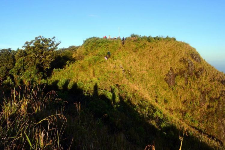 Pendakian Gunung Ungaran