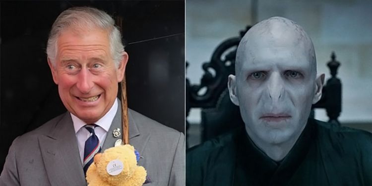 princevoldyfinal