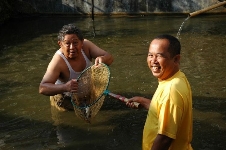 Kangen ikan di kolam