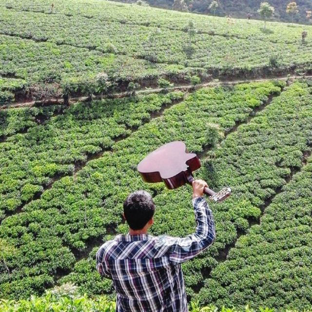 Perkebunan Teh Cipasung. Foto IG: @_cashadi