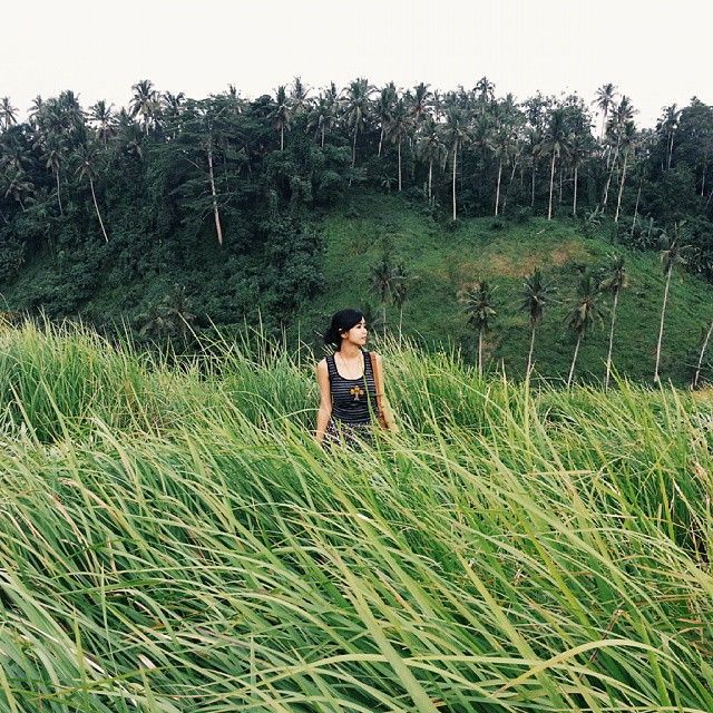 Bukit Campuhan, Ubud. Foto IG oleh @wins593