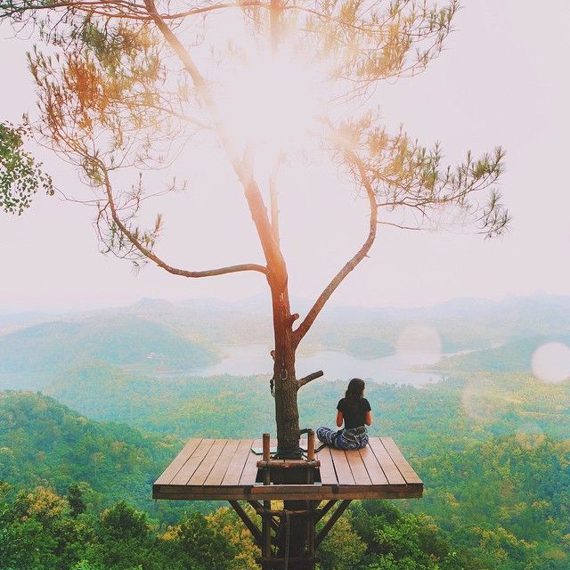 Mojok di pohon ikonik Kalibiru. Foto 