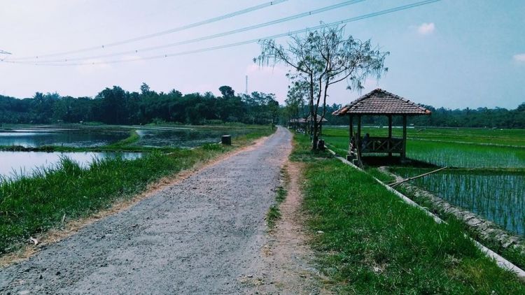 5 Hal Menarik dari Desa Wisata Tingkir Lor, Salatiga