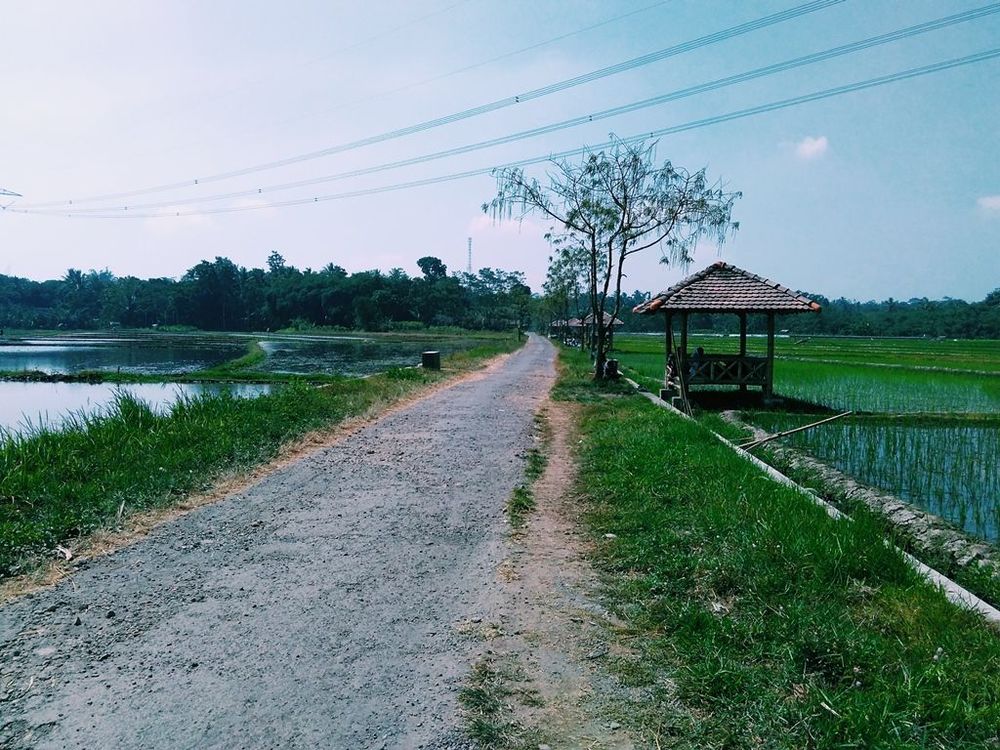 5 Hal Menarik dari Desa Wisata Tingkir Lor, Salatiga